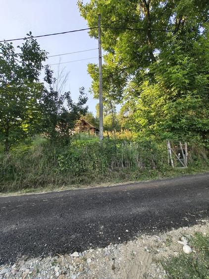 Teren de 600 mp, în Păușești
