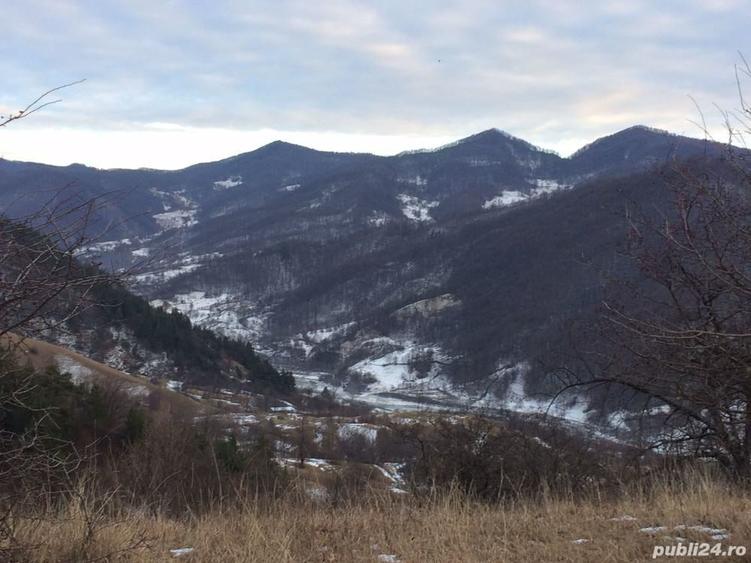 Teren de 4420 mp, în Vinețisu