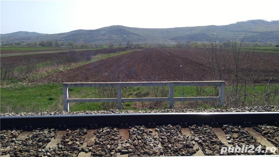 Teren de 5800 mp, în Central