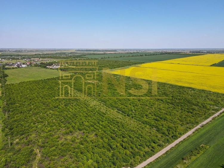 Teren Construcții intravilan de 375600 mp, în Mogoșești