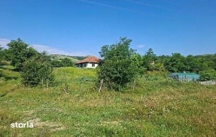 Casă cu 3 camere cu Teren 1428 Mp în Scorțoasa