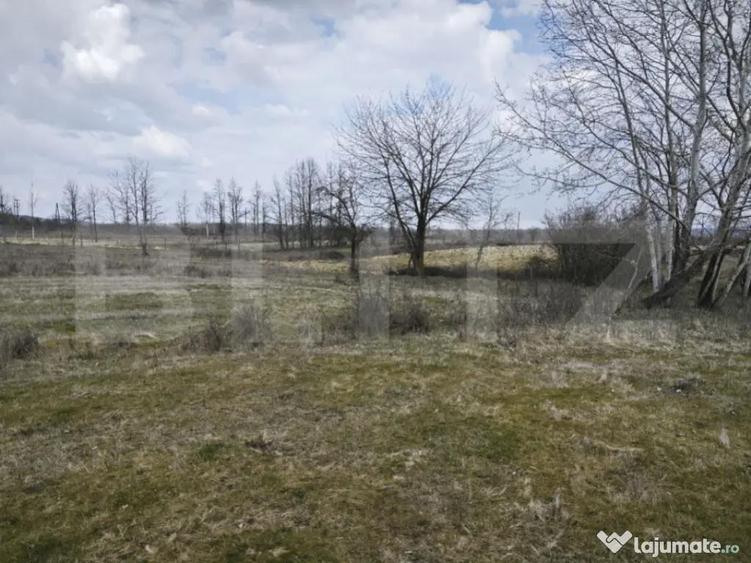 Teren intravilan ?i extravilan, suprafata de 1,37 hectare, - 4