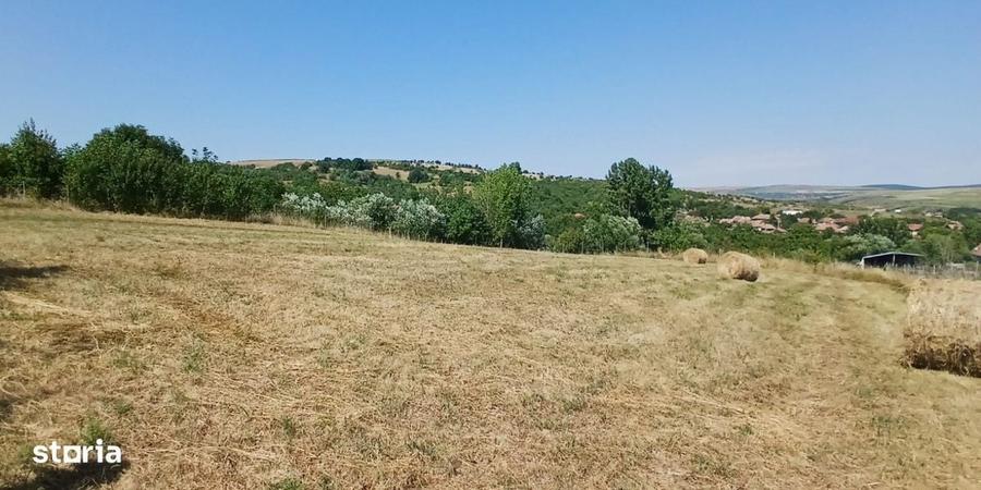 Casa in Comsesti cu teren intravilan 1800mp, acces bun - 18