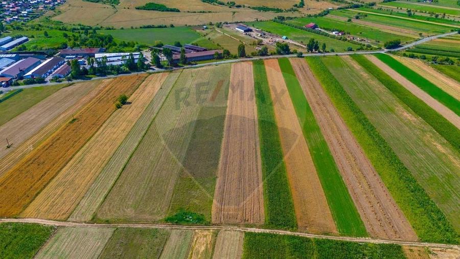 Teren agricol extravilan de 7000 mp, în Teliu