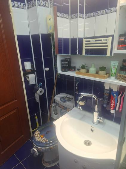 Apartament cu 2 camere decomandat în Turnișor
