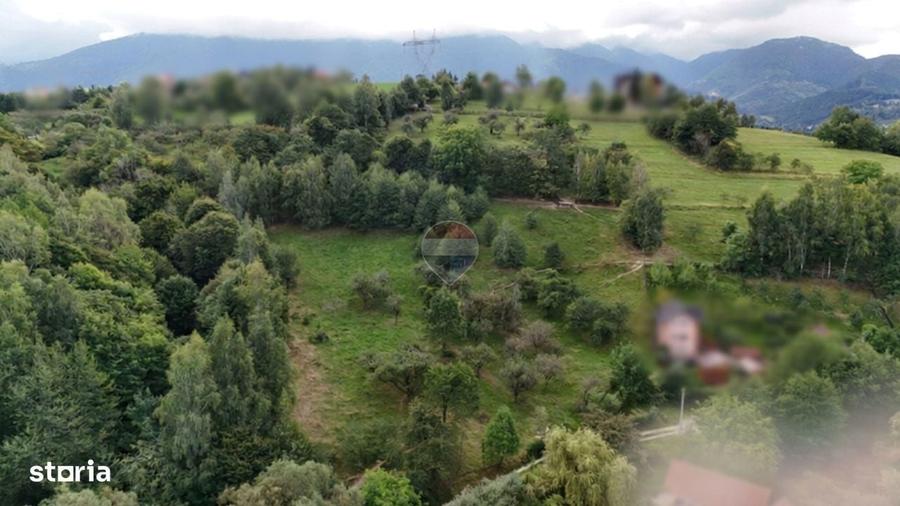 Comision 0% |Teren intravilan 2.700 mp | Sohodol Bran |Castelul Bran - 8