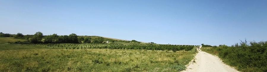 Teren de 29000 mp, în Cozla