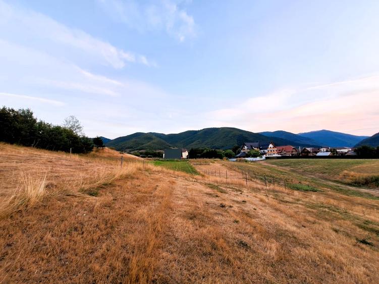 Teren extravilan de 1257 mp, în Gura Râului