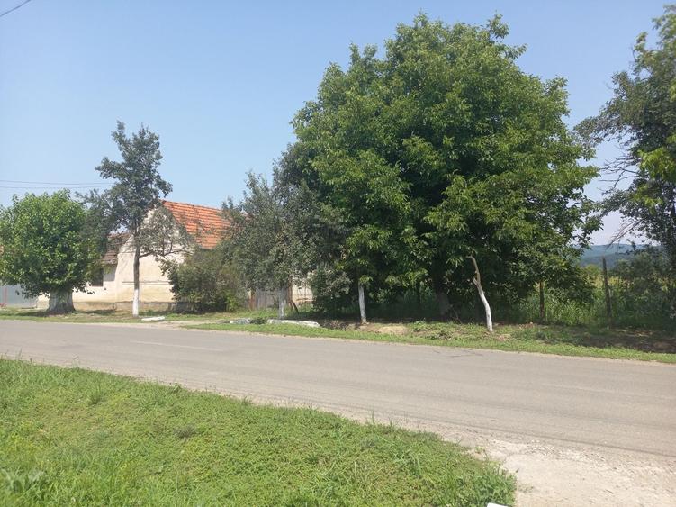 Casă cu 3 camere cu Teren 3956 Mp în Chelmac