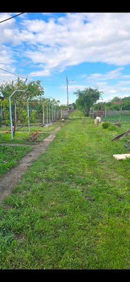 Casă individuală cu 4 camere cu Teren 4200 Mp în Negrași