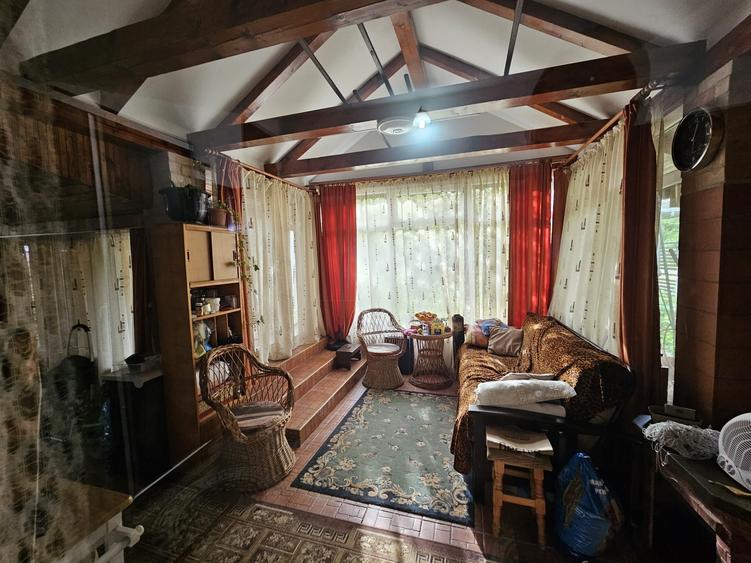 Casa Bacia, judet Hunedoara - 10