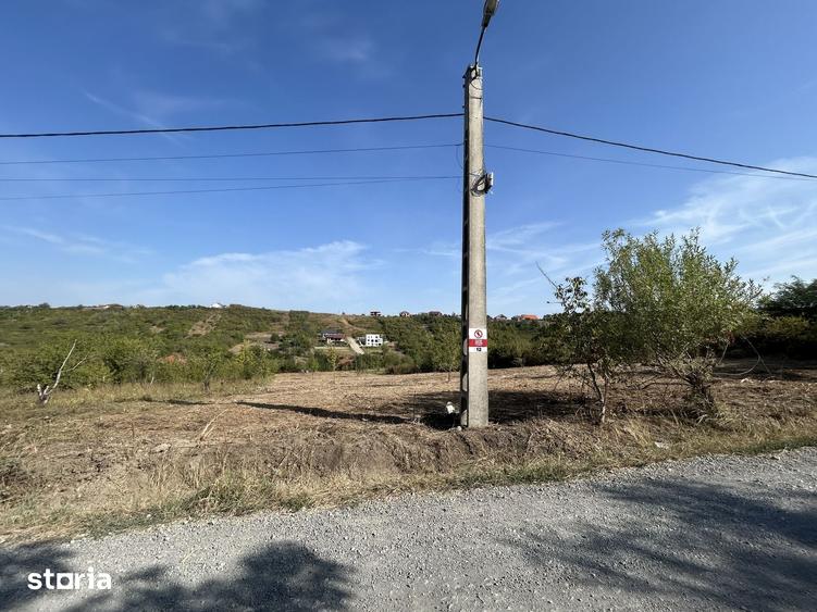 Teren intravilan ,str Livezilor , 3280 mp - 3