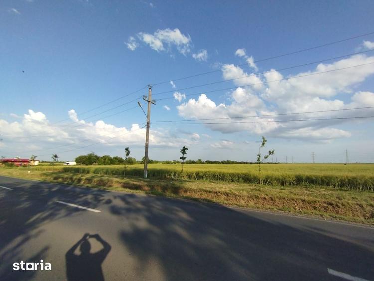 Teren de 5000 mp, în Moara Vlăsiei