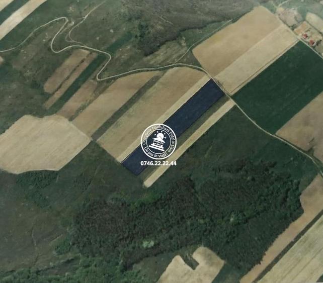 Teren de 20700 mp, în Schitu Duca
