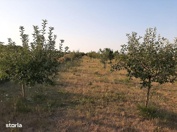 Casă cu 3 camere în Amați