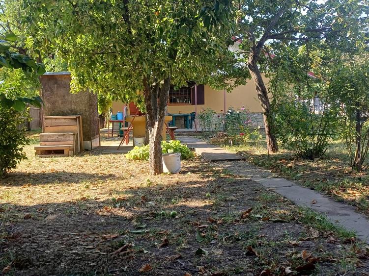 Casă cu 4 camere în Popești