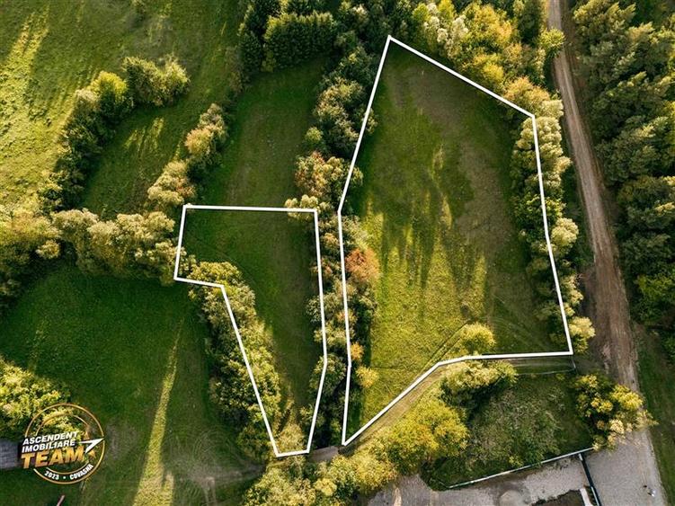 Teren Construcții extravilan de 4800 mp, în Ojdula