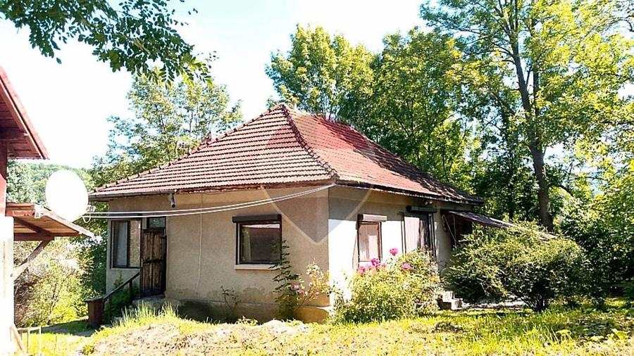 Casă individuală cu 4 camere cu Teren 6676 Mp în Provița de Sus