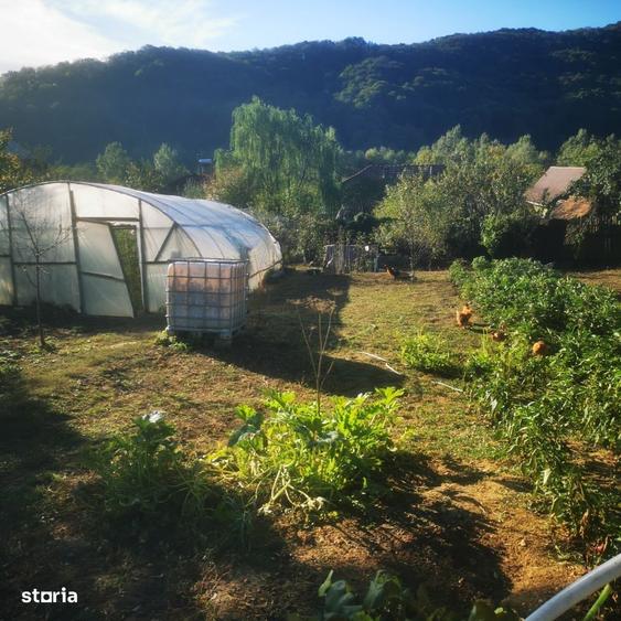 Casă cu 3 camere în Central