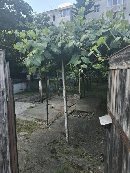 Spațiu comercial, în Griviței