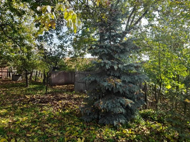 Casă cu 2 camere cu Teren 4960 Mp în Crestur