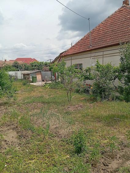 Casă cu Teren 380 Mp în Central