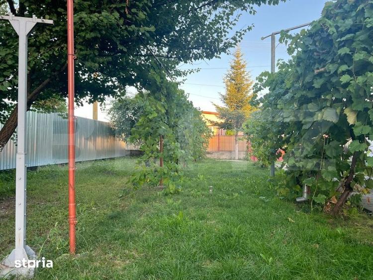 Casă cu 2 camere cu Teren 1414 Mp în Criș