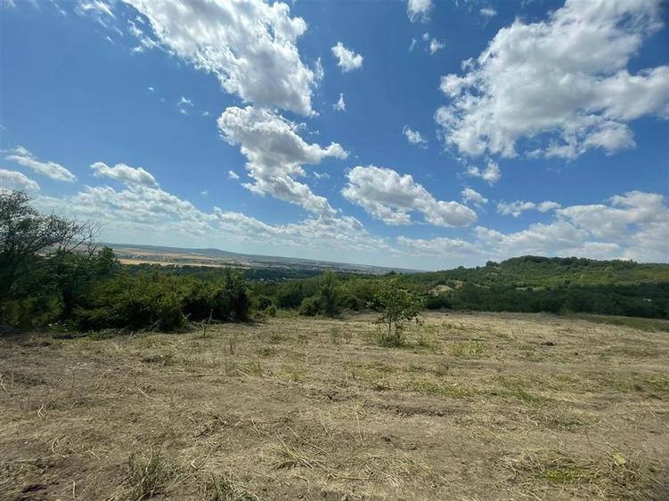 Teren Construcții intravilan de 1675 mp, în Podgoria