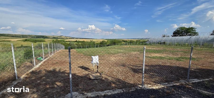 Teren de 2494 mp, în Brădești