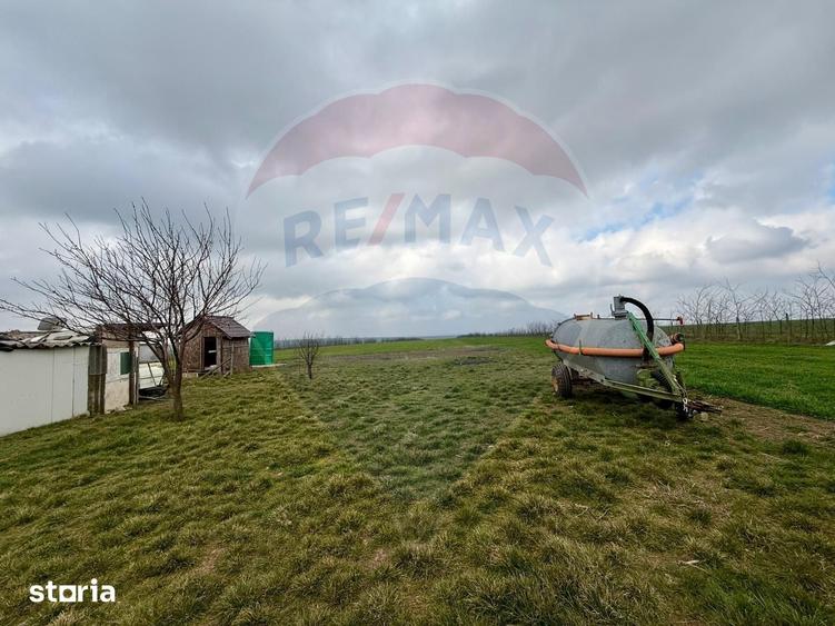 Teren de 60000 mp, în Săcele
