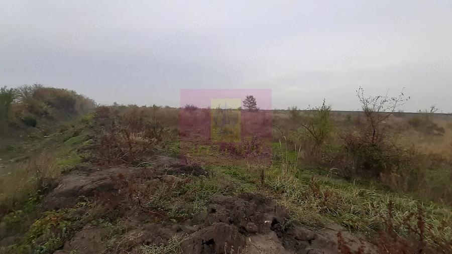 Teren de 5000 mp, în Corbeanca