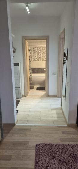 Apartament cu 2 camere decomandat în Bâcu