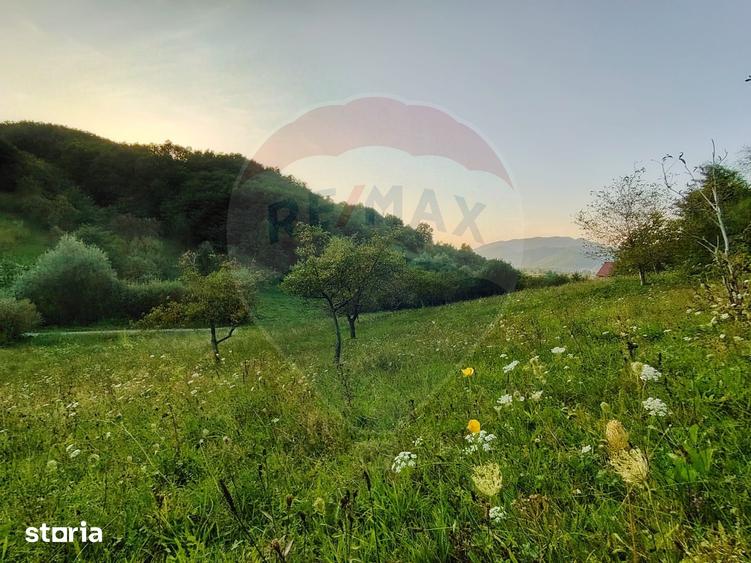 Teren de 2339 mp, în Bârsana