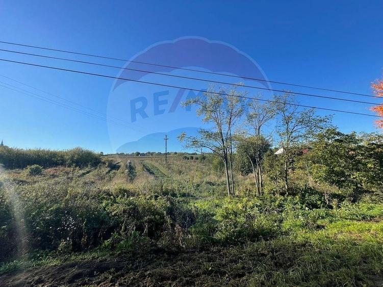 Teren Construcții intravilan de 2341 mp, în Uileacu de Munte