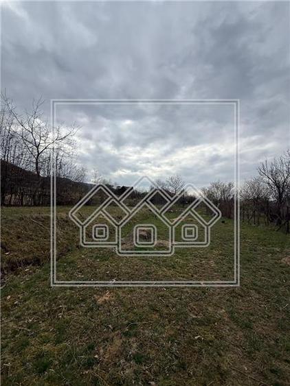 Teren Construcții intravilan de 1247 mp, în Sadu