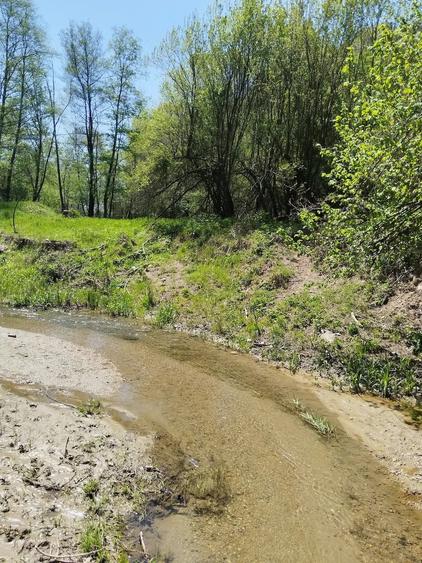 Teren de 7795 mp, în Opătești