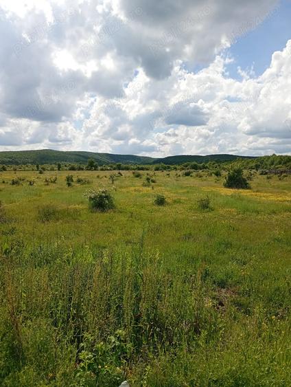 Teren de 1500 mp, în Merișani