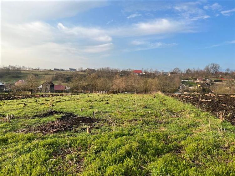 Teren intravilan de 4872 mp, în Antoceni