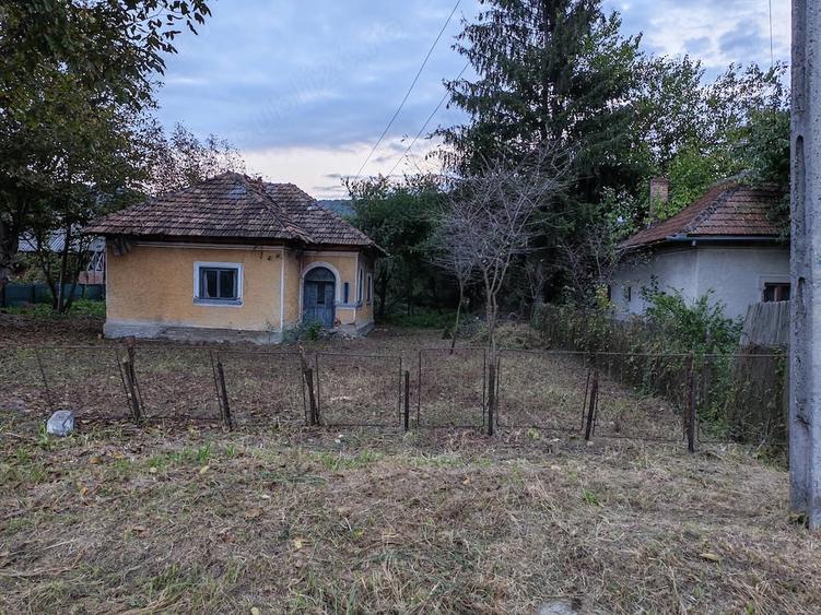 Teren de 5000 mp, în Central