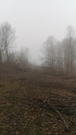 Teren intravilan de 3186 mp, în Certeju de Sus