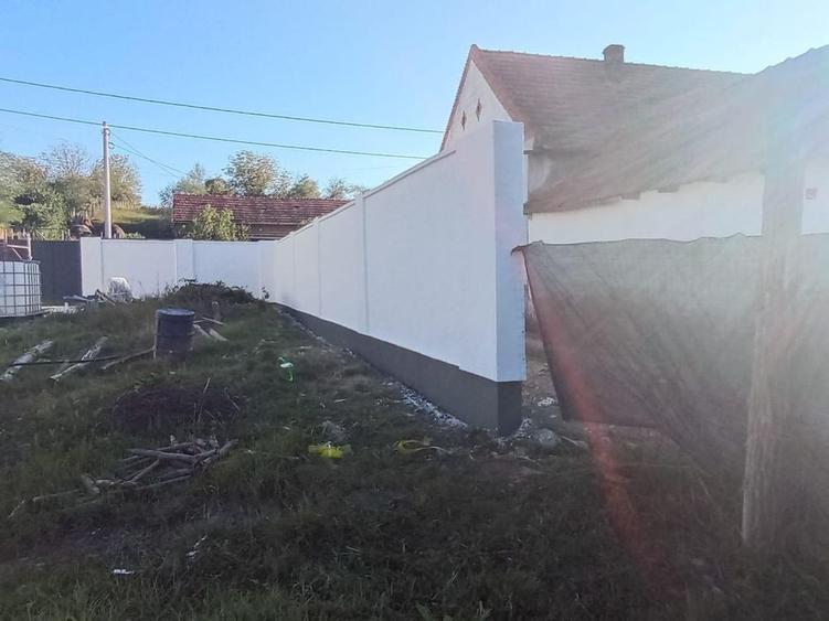Casă cu 4 camere în Fârliug