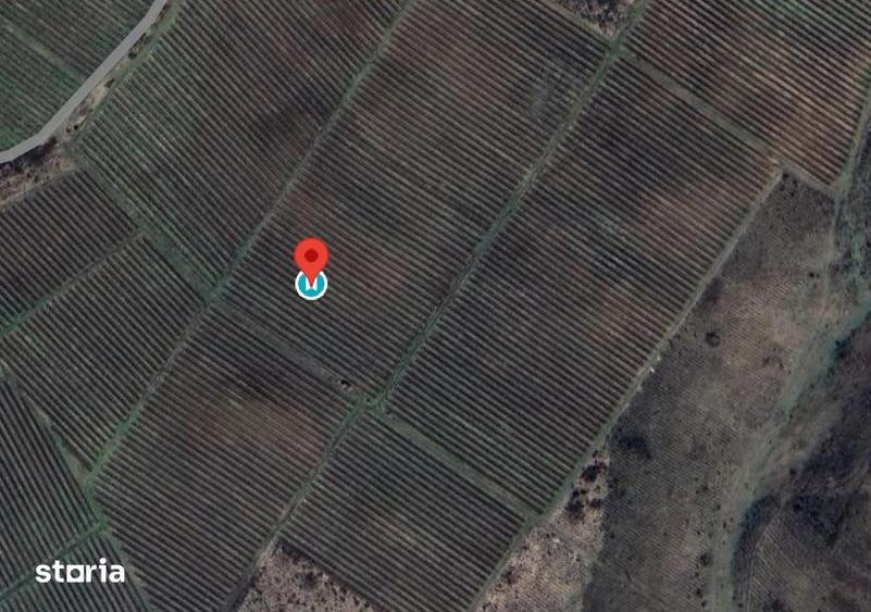 Teren de 153900 mp, în Boldești