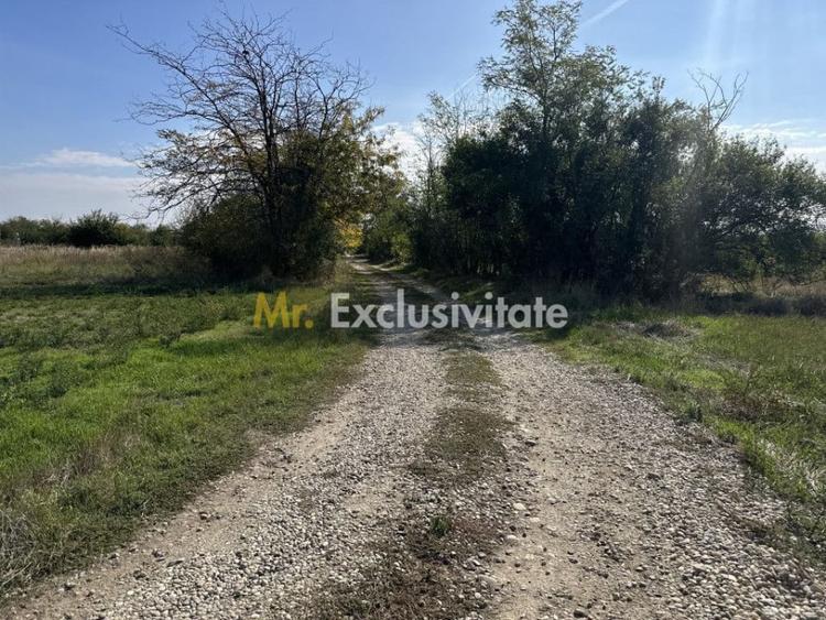 Teren de 3700 mp, în Rătești