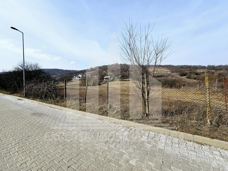 Teren Construcții intravilan de 14000 mp, în Est