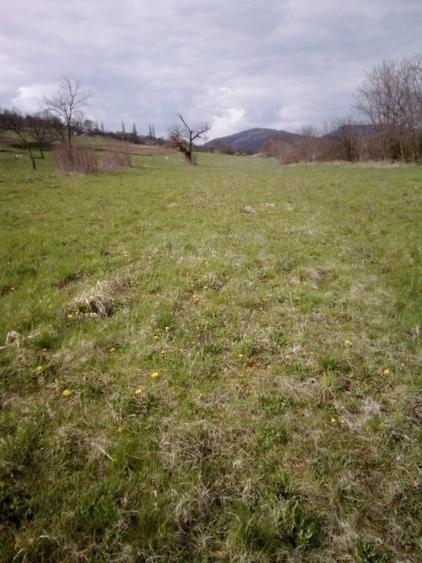 Teren agricol extravilan de 27500 mp, în Geoagiu-Băi