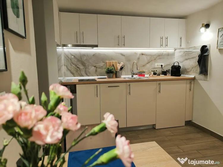 Apartament cu 2 camere semidecomandat în Parcul Carol