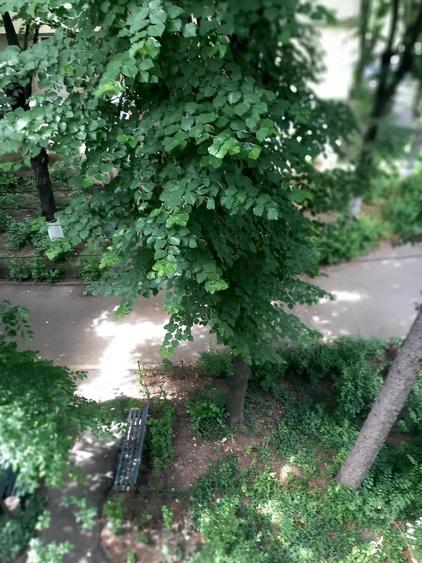 Apartament cu 2 camere decomandat în Sud