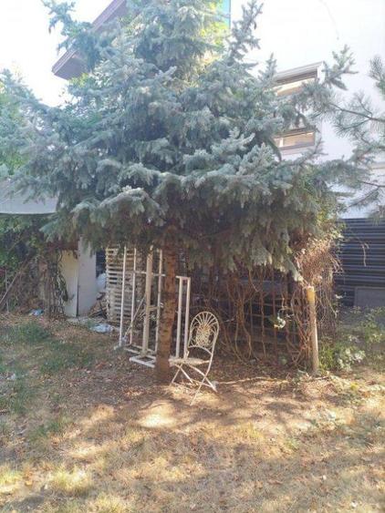 Teren intravilan în Pipera