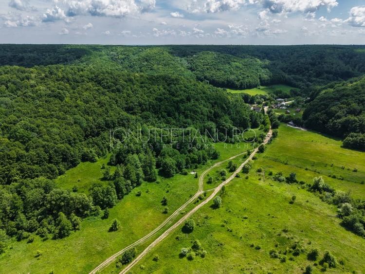 Teren agricol extravilan de 5500 mp, în Valea Mare-Podgoria