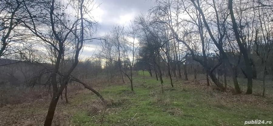 Teren de 4900 mp, în Central